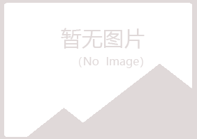 岳池县迷失培训有限公司